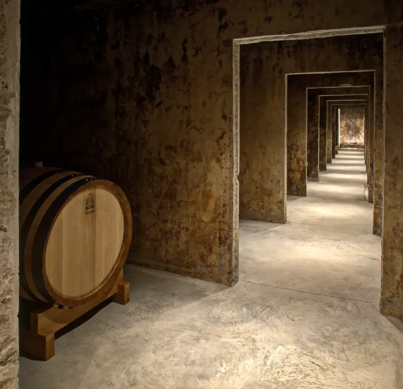 Private winery tour and tasting in Puglia