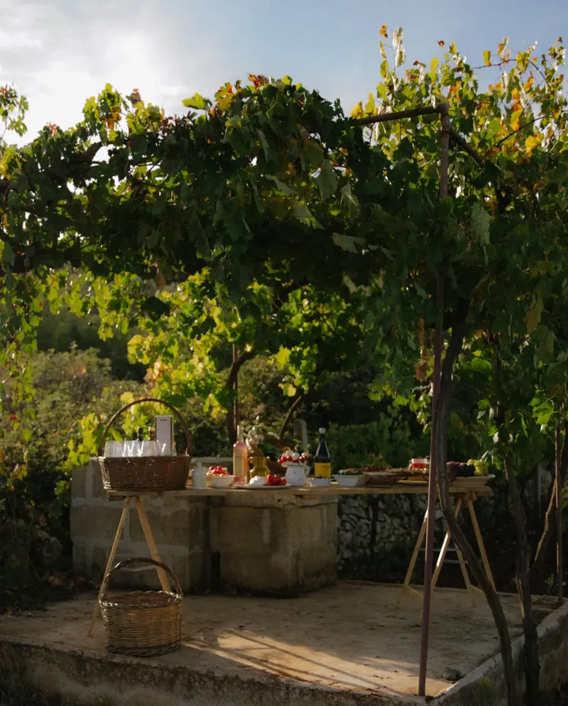 Picnic and barbecue in the vineyard